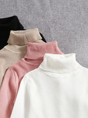 SOLID TURTLENECK RIBBED KNIT TOP