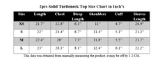 2PCS SOLID TURTLENECK TOP