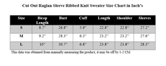 CUT OUT RAGLAN SLEEVE RIBBED KNIT TOP