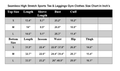 SEAMLESS HIGH STRETCH SPORTS TEE & LEGGINGS GYM CLOTHES