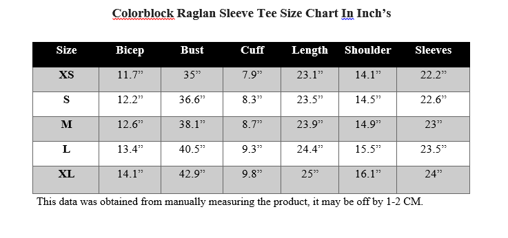 COLORBLOCK RAGLAN SLEEVE TEE