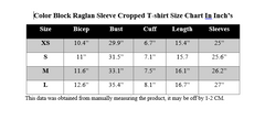 COLOR BLOCK RAGLAN SLEEVE CROPPED T-SHIRT